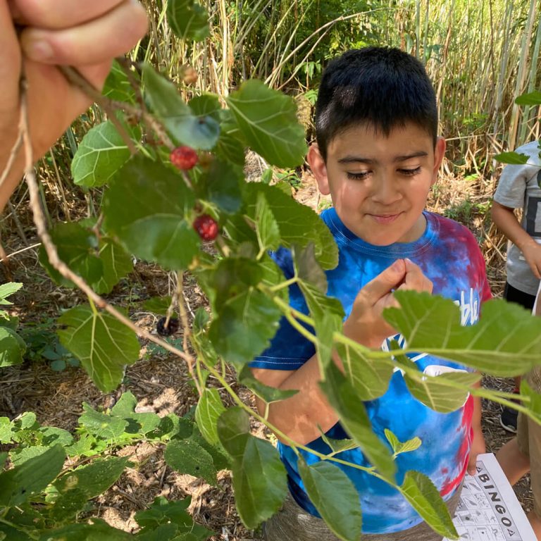 Young boy picks berries as part of Prarie Loft for Outdoor and Agricultural Living in Hastings, NE